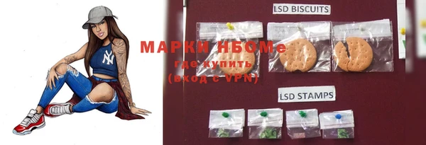 молекула духа Алзамай