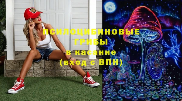 молекула духа Алзамай