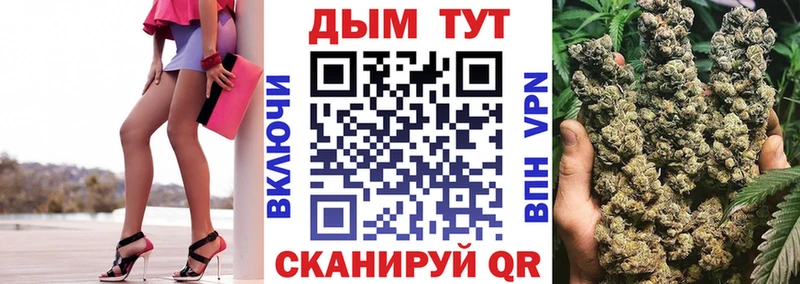 купить закладку  Грайворон  hydra как войти  Бошки Шишки THC 21% 